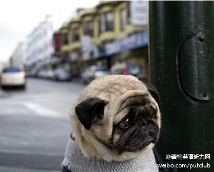 e. 别烦我;Knock it off. 少来这一套;Get out of m