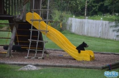 救命啊,我家后院有个怪兽宝宝在玩滑梯_搞笑_